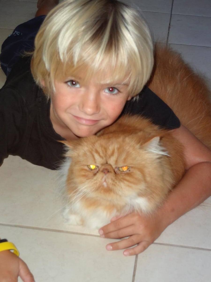 Toulouse, a big ginger Persian cat, being hugged by a small blond child on a tiled floor.