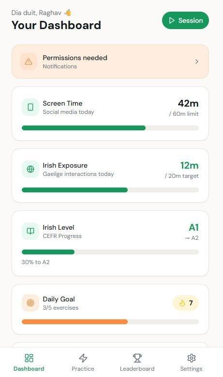 Craicdown dashboard on a phone: screen time, Irish exposure, Irish level and daily goal progress bars.