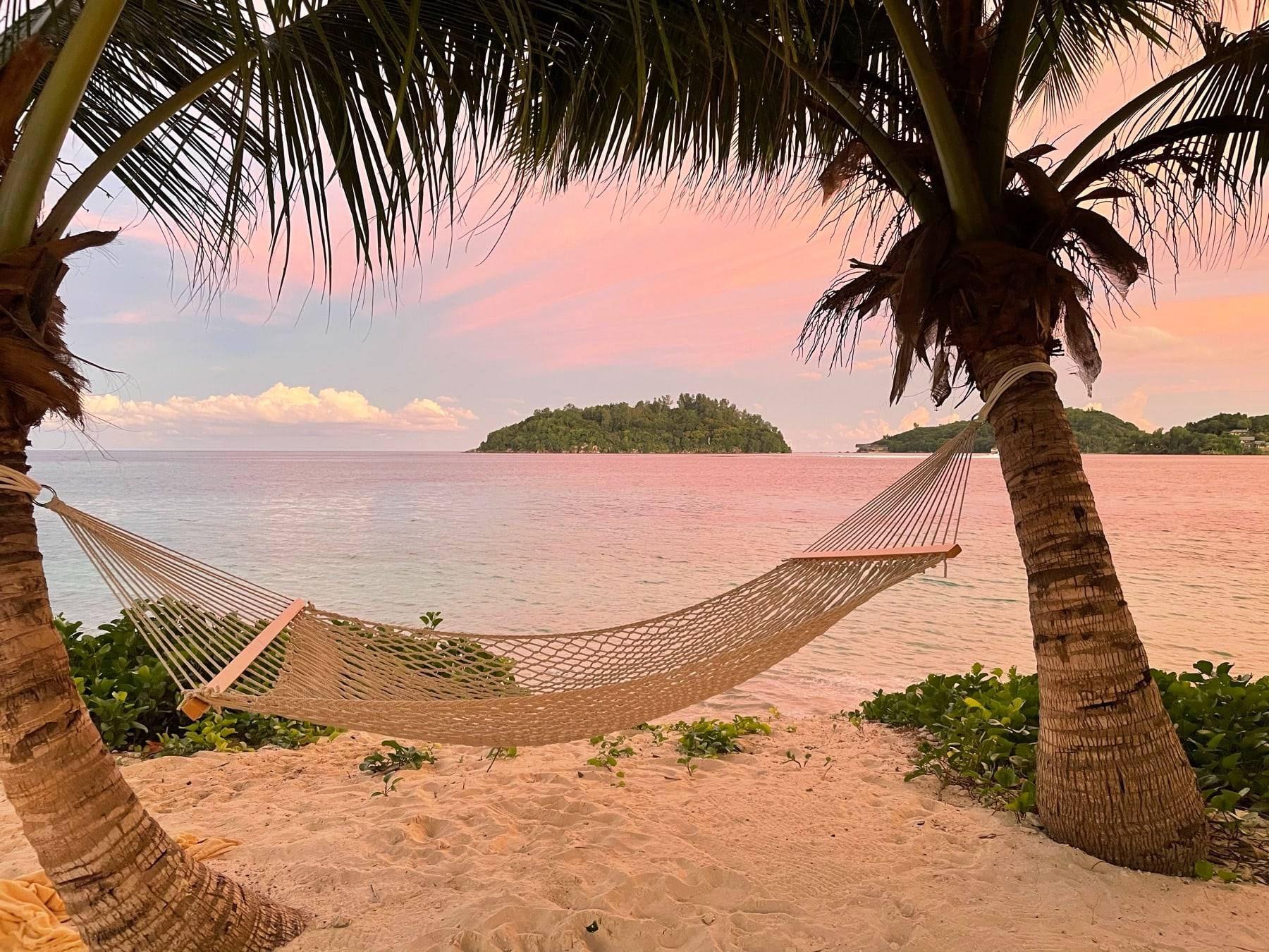A hammock between palm trees on a beach at pink sunset.